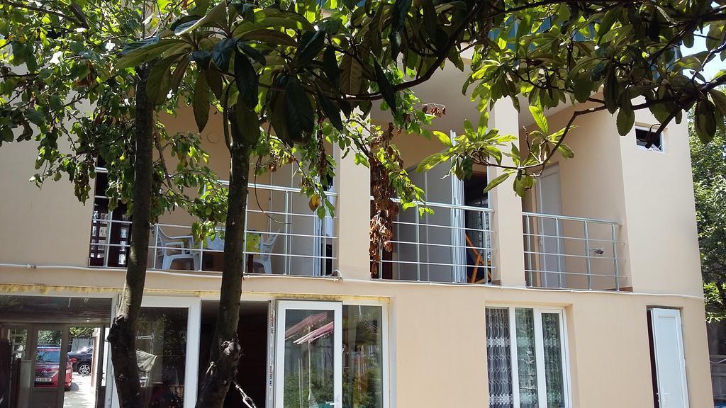 Guesthouse Mery Kobuleti Εξωτερικό φωτογραφία